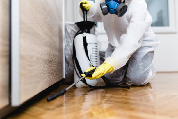 Professional Pest Control in Wyoming, OH