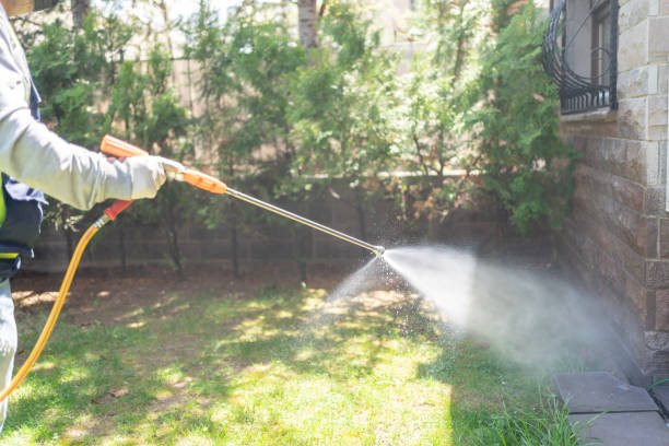Best Cockroach Control Services  in Wyoming, OH