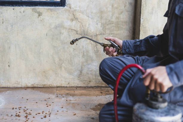 Best Termite Control Services  in Wyoming, OH